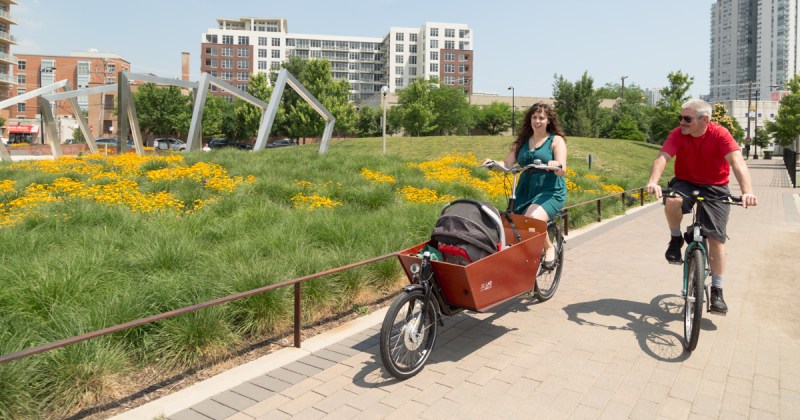Are Women Really More Risk-Averse on Bikes, or Just More Honest?