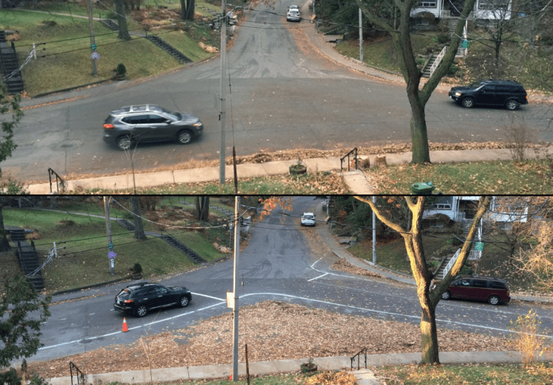 Toronto Neighbors Calm Street Using Only Leaves and Chalk