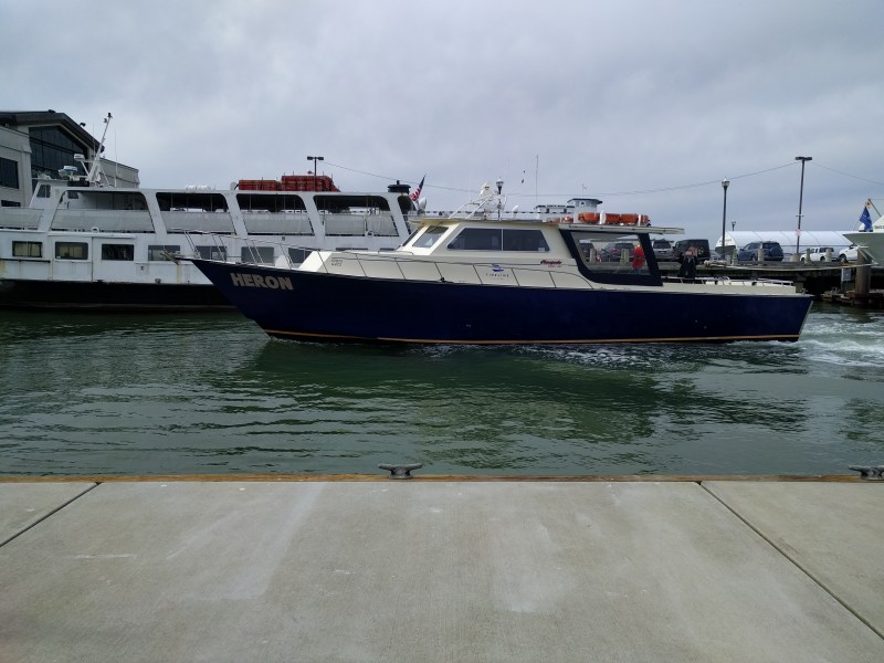 A Sea-Bus Future for the Bay Area?