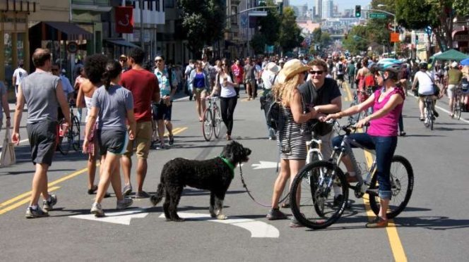 Advocates and the Pandemic