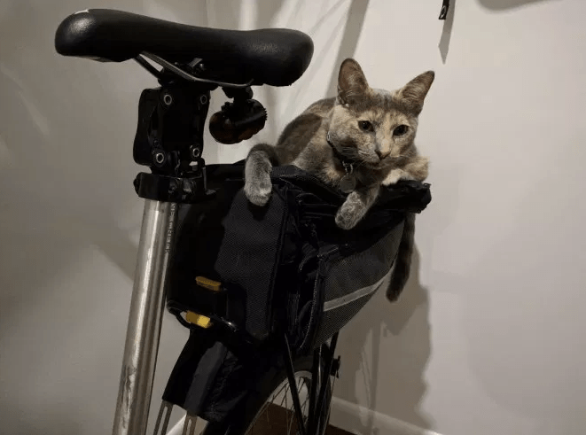 Emergency Fund Drive Goals Met Thanks to You!