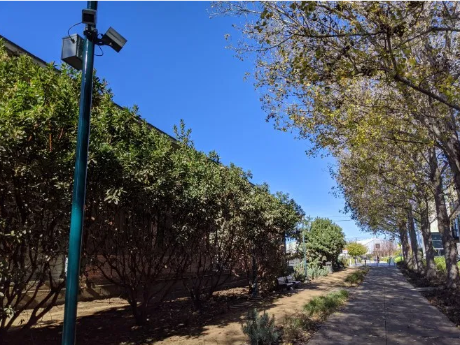 Eyes on the Path: Better Bike and Ped Crossings in Emeryville