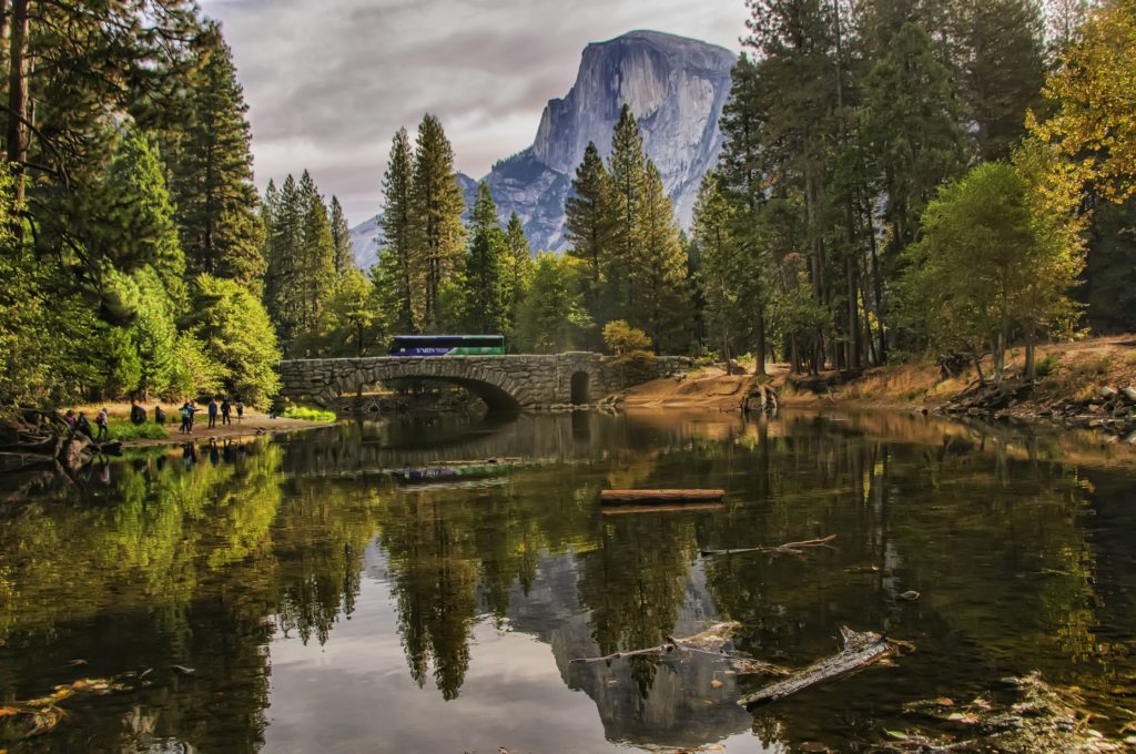Regional Buses Serving Yosemite Are Going Electric