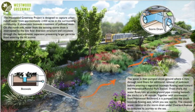 The Westwood Neighborhood Greenway Is Now Complete