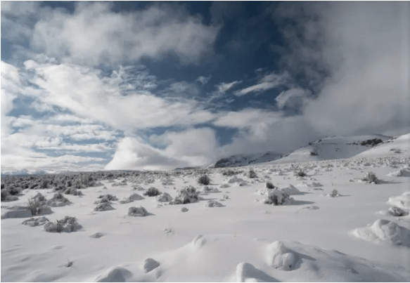 Lithium Mining: The Hidden Environmental Cost of EVs