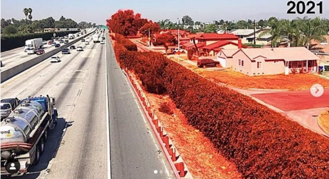 I-5 Authority Pushes to Exempt Widening Project from Mandated Equity and Environment Evaluation, Asserts Widening Freeway Cleans Air