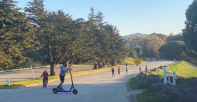 What About Shelley Drive in McLaren Park?