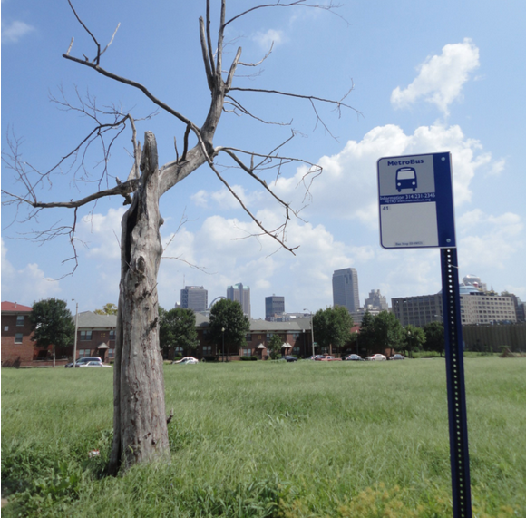 U.S. Cities Have More Car-Free Households Than You Think