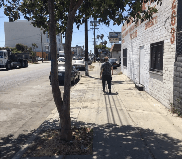 L.A. Councilmember Krekorian Cancels Burbank Boulevard Widening