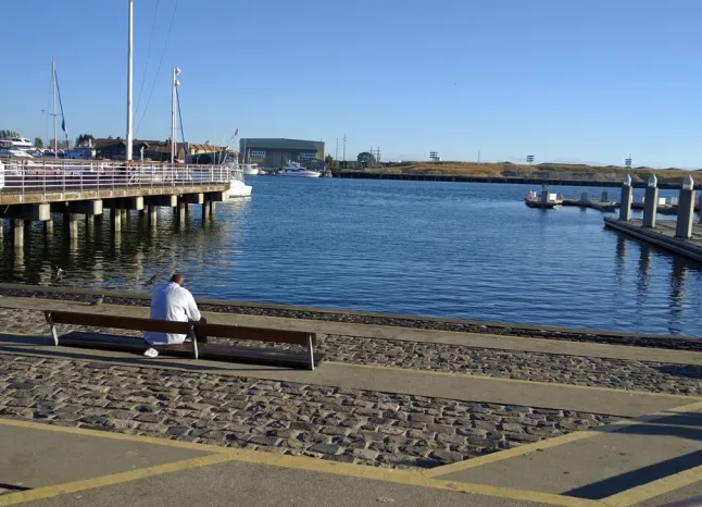 Commentary: Estuary Ferry Should Run as a Horizontal Elevator, Not a Bus