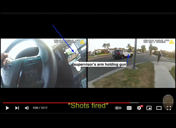 LAPD Sergeant Fired at Jermaine Petit from Inside Patrol Vehicle