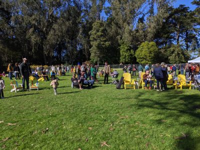 Safe Streets Advocates Celebrate J.F.K. Triumph