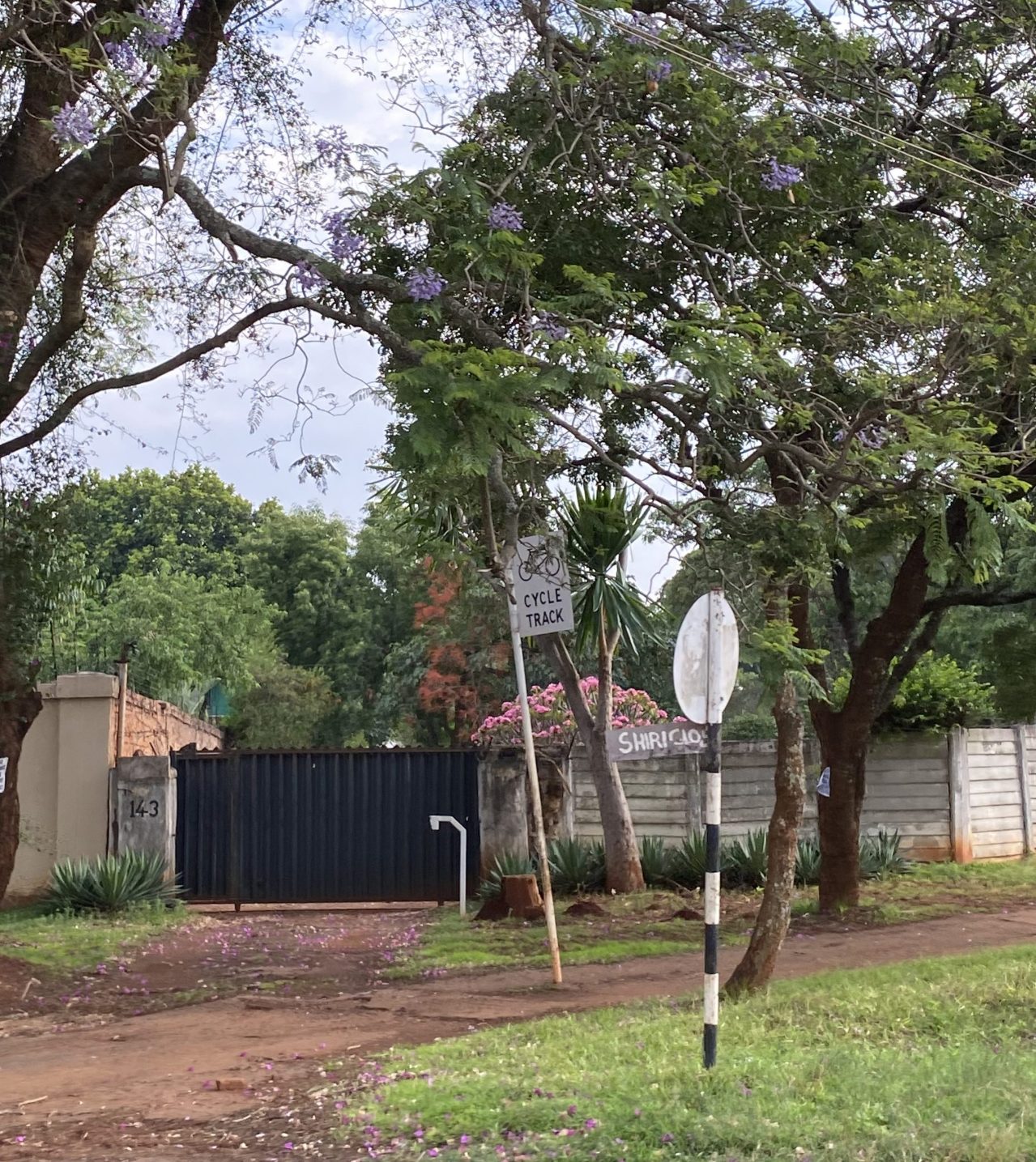 Colonial-era Cycle Track in Harare, Zimbabwe. Photo by Melanie Curry