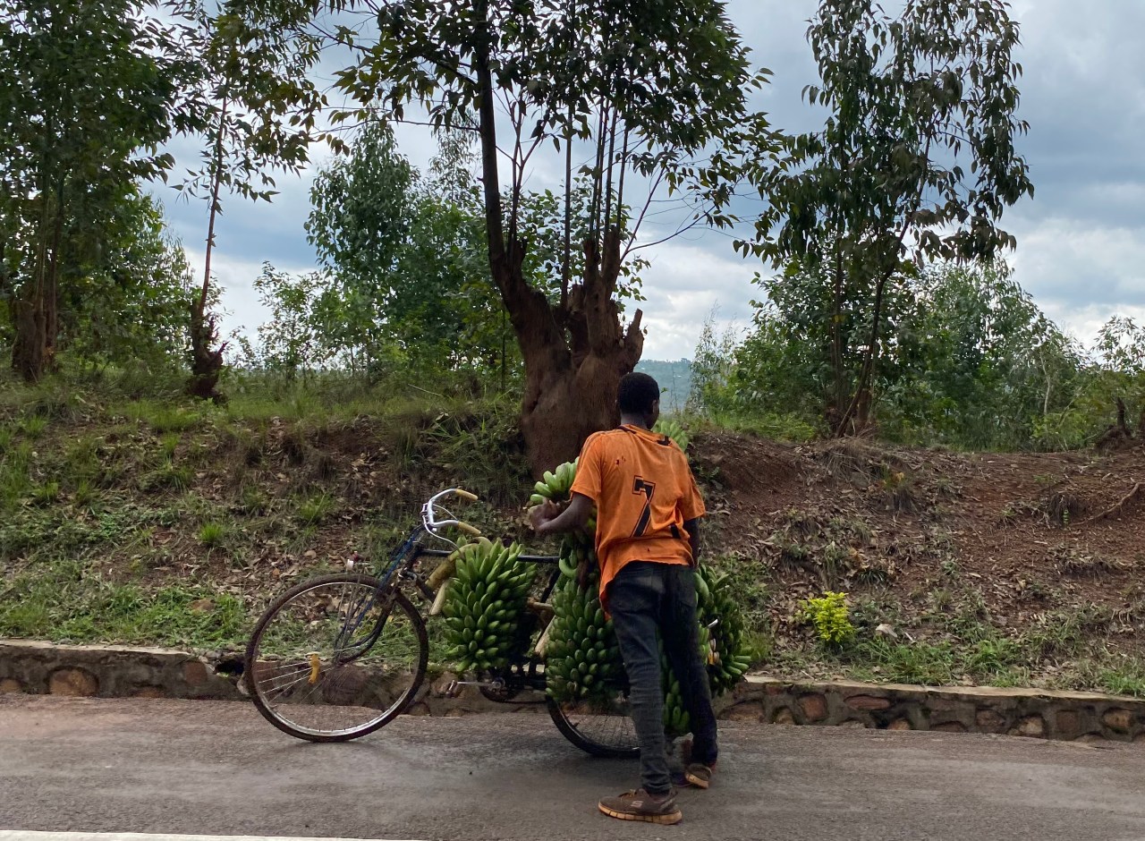 So. Many. Bananas. Rwanda. Photo by Melanie Curry/Streetsblog