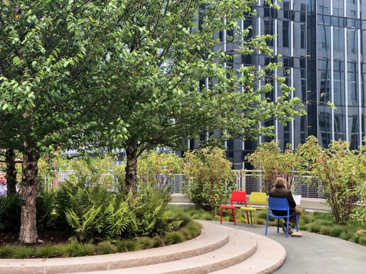 A visitor to Salesforce Park, on top of the Transbay Transit Center, sits amid trees and bushes and contemplates downtown office towers.
