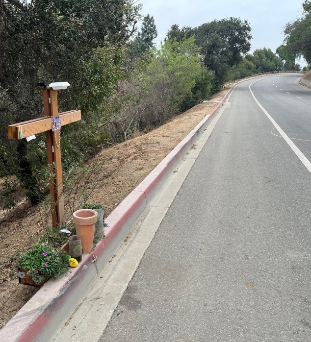 BikeLA Report Analyzes 2022 L.A. County Cyclist Deaths