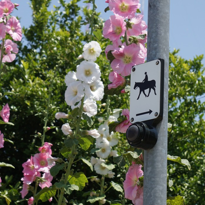 Rezoning Proposal for Avocado Heights Riles Residents and Activists