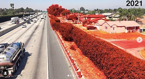 Metro Postpones 605 Freeway Widening Project Community Meetings