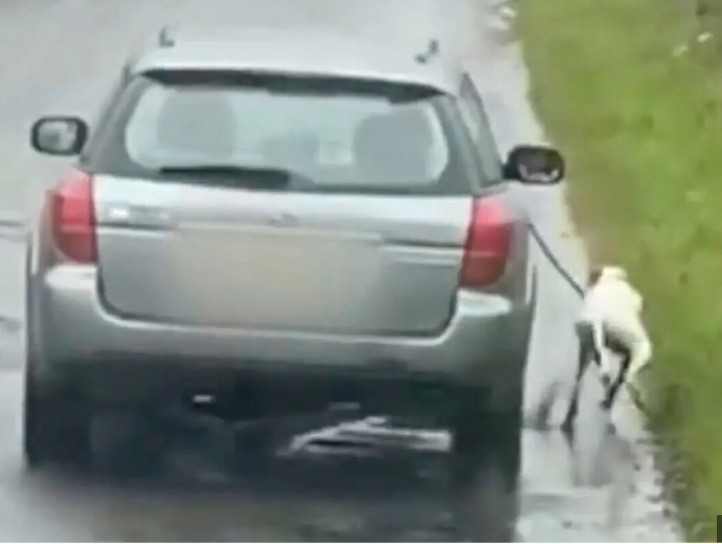 Friday’s Headlines