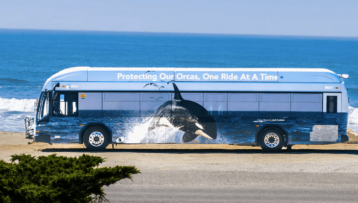 Thursday’s Headlines