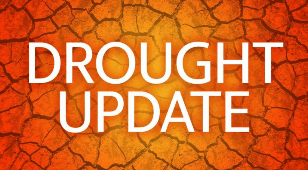 Friday’s Headlines