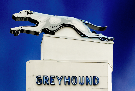 Opinion: The Decline of Greyhound Isn’t A Greyhound Problem; It’s a Bus Problem.