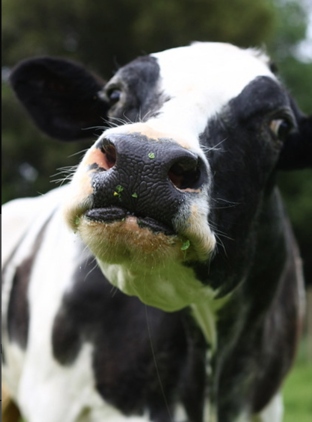 Friday’s Headlines