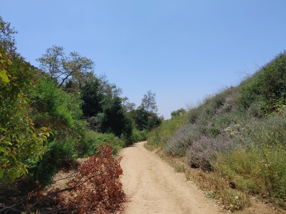 SGV Hikes and Bikes: Turnbull Canyon