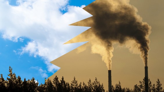 Wednesday’s Headlines