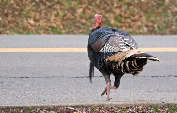 Wednesday’s Headlines – See You in December