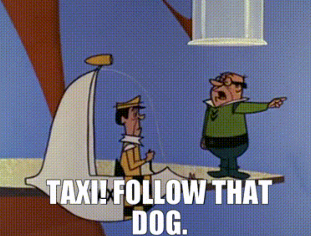 Friday’s Headlines