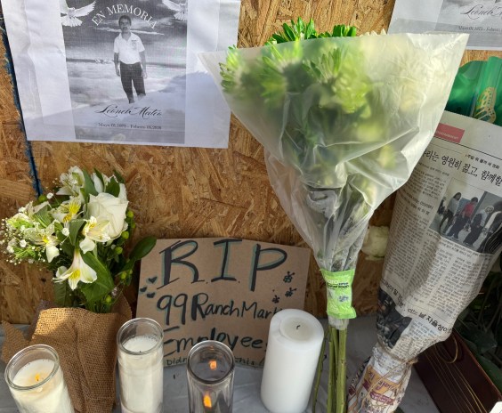 Councilmember Yaroslavsky Calls for Urgent City Response to Westwood Driver Killing Three People