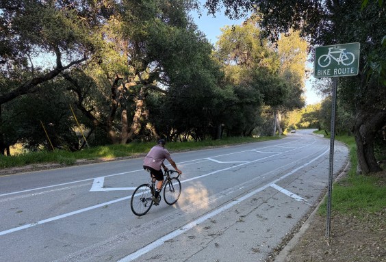 Bike Updates: Griffith Park, Chandler, Terra Bella, and Westside Plans