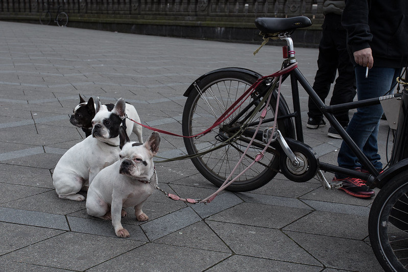 Tuesday’s Headlines