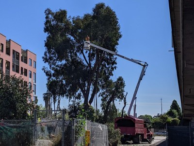Caltrans and Alameda Officials Celebrate Launch of Nimitz Freeway Widening Project Through Oakland’s Chinatown