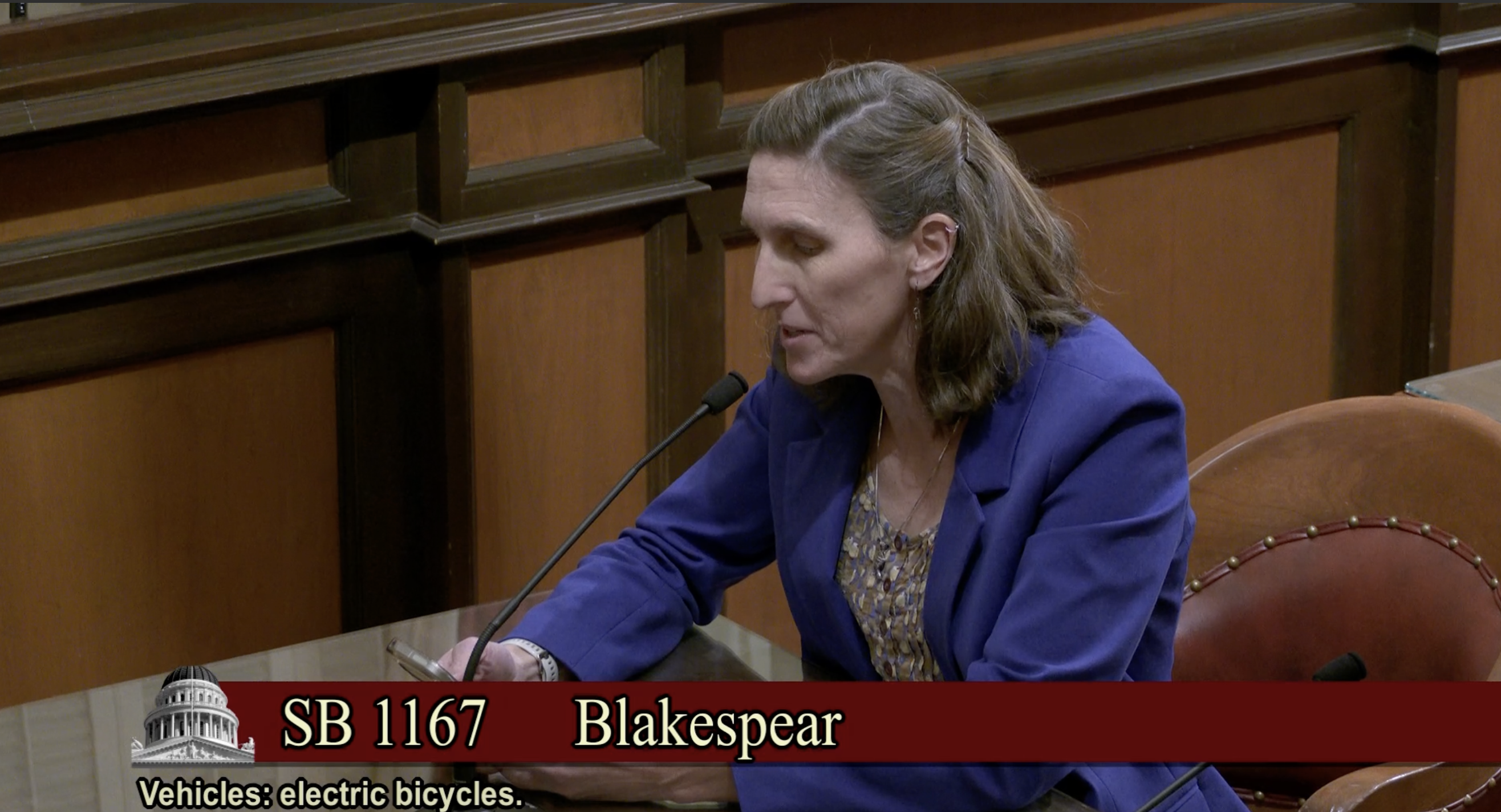 In Year with a Glut of E-Bike Legislation, Blakespear's Efforts to Define E-Bikes and Limit E-Motos Advances - Streetsblog California