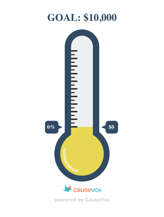 Help Us Raise $10k This Summer