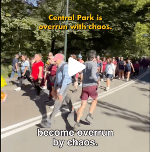 The Week in Short Video